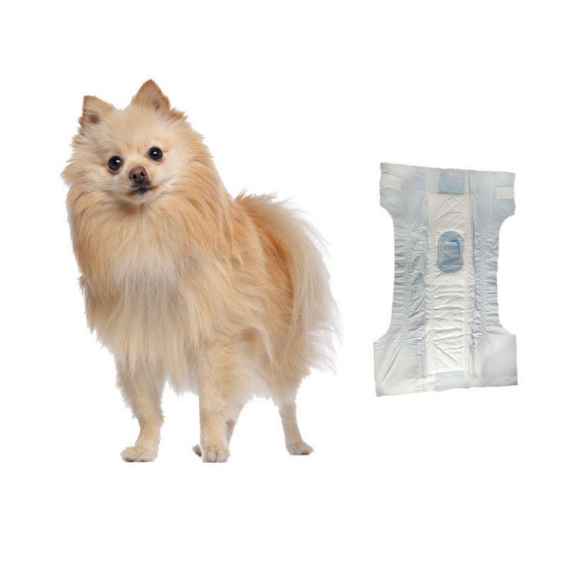 Environmentally friendly Disposable pet diaper OEM training pet diaper