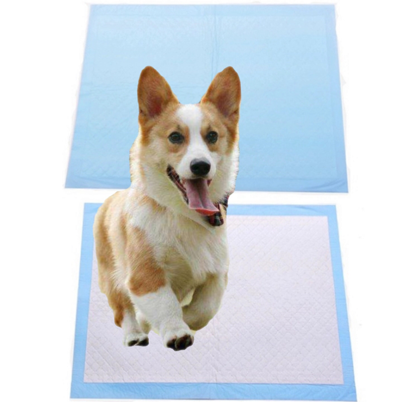 Pet Under Pads Oem Dog Cat Urine Protection Hot Sale Soft Surface Pads Manufacturer