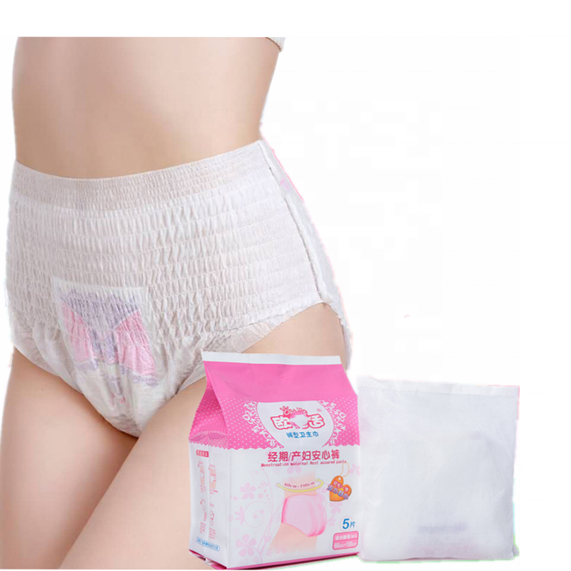 Women Disposable Menstruation Panties For Women Menstrual Pants